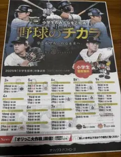 最安値❗️野オリックス・バファローズ　京セラ　チラシ　野球　招待　小学生無料