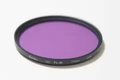 Item thumbnail for item 393fd3c0-c180-418d-93ae-b79168edf3d1