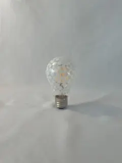 LED電球