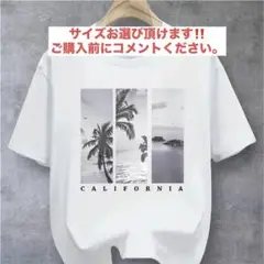 【お好きなサイズをお選び頂けます】カリフォルニア風景プリントTシャツ