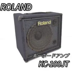 2025年最新】roland KC-100の人気アイテム - メルカリ