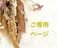 【専用出品】ミナペルホネン　mela 14㎝ファスナーポーチ　りんご・:*+.