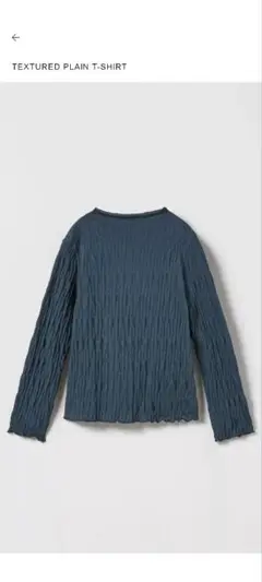 【未着用】ザラ ZARA シワ加工 カットソー 164