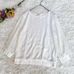 【エスペラック】異素材　長袖カットソー　シフォンスリーブ　ホワイト　F