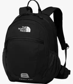 美品　ノースフェイス　スモールデイ　リュック