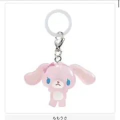 ぴょーん様　専用出品