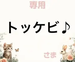 専用