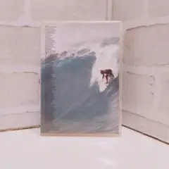 NORTHSHORE 07-08 DVD