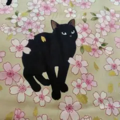黒猫と桜の綿プリント生地　はぎれ　ハギレ