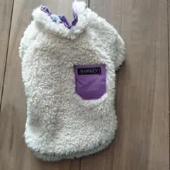 Item thumbnail for item d72b744a-8fdc-428b-bc76-3ac55fd5e333