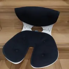 オリバックチェア　中古　ブラック 中古 姿勢サポートチェア ORIBACK CHAIR オリバックチェア