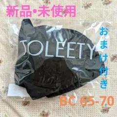 【新品】TOLEETY 軽やかストレスフリーブラ トゥリーティ BC65-70