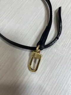 ルイヴィトンポーチの紐