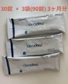 Item thumbnail for item bf90cd40-788a-4f8e-b946-552c14d0bb9d