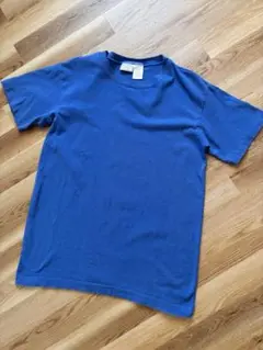 ARIZONA ブルー Tシャツ Lサイズ シングル 90s USA