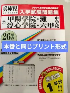 淳心学院中学校 2020年度受験用 赤本 1045 (中学校別入試対策シリーズ) 淳心学院中学校 入学試験問題集 2025年春受験用 (プリント形式の