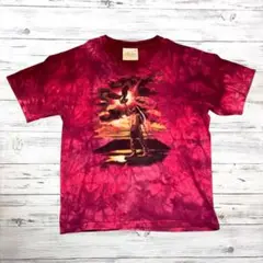 THE MOUNTAIN Tシャツ デカロゴ レッド系 XL 0203