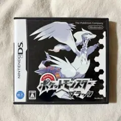 【匿名配送】ポケットモンスター ブラック DS 動作確認済