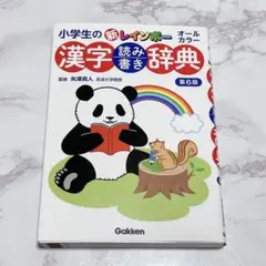 小学生の新レインボー漢字読み書き辞典 オールカラー