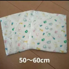 【新品】ベビー　たまひよ こどもビームスコラボ　肌着　50〜60cm 2枚
