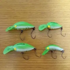 ディスプラウト