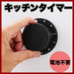 Item thumbnail for item 7af491d3-9458-46ae-b88e-064134b052c6
