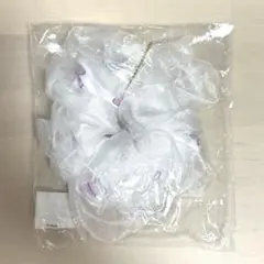 岩橋玄樹　ビッグシュシュ