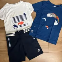 美品　Tシャツ　ズボンセット　116cm