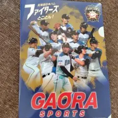 「GAORA×日本ハムファイターズ」 非売品クリアファイル☆栗山英樹監督