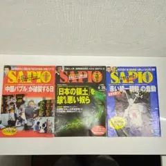 SAPIOセット2004年号