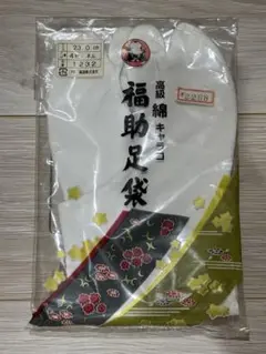 Item thumbnail for item 4f74eedd-0dcc-4847-9a7d-265daa6d3aeb