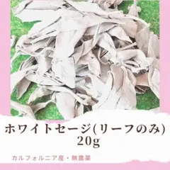 ホワイトセージ 20g
