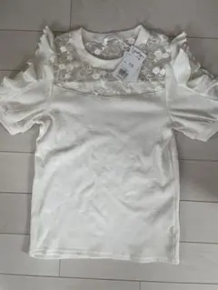 Item thumbnail for item 2d615752-ecba-42a1-975b-adb2235c76ce