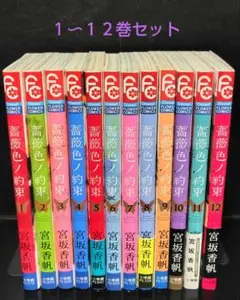 【即購入⭕️】薔薇色ノ約束 １〜１２巻セット