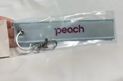 (限定品) JA08VA フライトタグ バニラエア