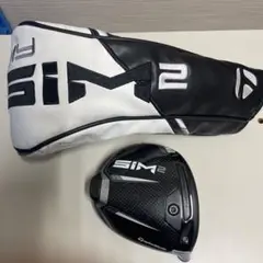 MY SIM ヘッドのみ SIM2
