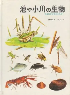 池や小川の生物　 みずにすむなかまたち 福音館書店