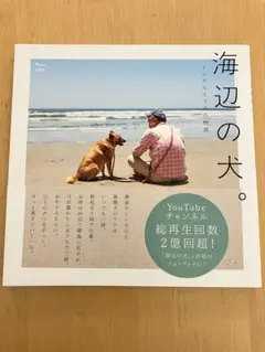 海辺の犬。