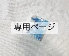 chiiiii様専用ページ