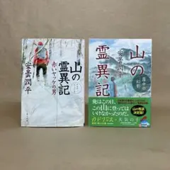 山の霊異記 赤いヤッケの男 霧中の幻影 安曇潤平　2冊セット