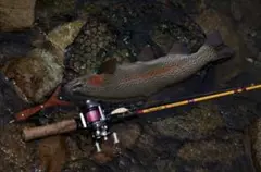 かねは商店 ハイエンドスプリングネット angler saitoバージョン