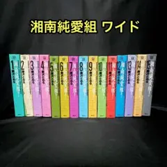 湘南純愛組 ワイド版 全15巻 全巻 セット 漫画 コミック 藤沢さとる