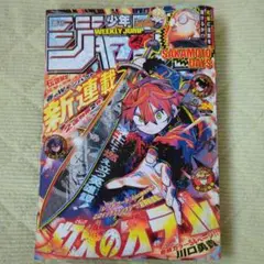 ★8/21まで★週間少年ジャンプ2025年24号（5月26日号）とじこみ付録付き