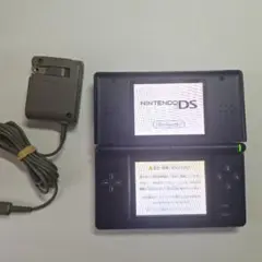 ニンテンドーDS Lite ネイビー 純正充電器、オマケソフト付き