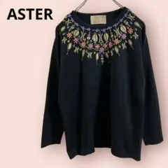 美品ASTER(アスター)花柄刺繍長袖ニット黒/F