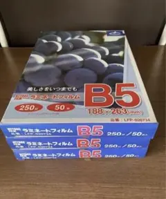 Item thumbnail for item 844c5230-29b0-4fe4-8363-1d86d498d918