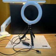 Item thumbnail for item 95e1449b-712e-4d0b-80bc-7dd959d6b22b