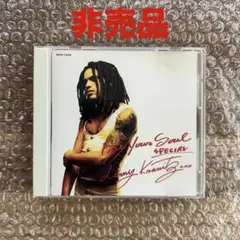 【非売品】レニー・クラヴィッツ Free Your Soul SPECIAL
