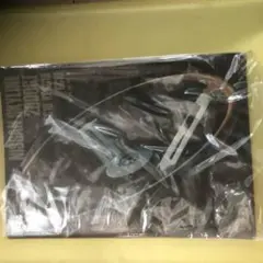 希少箱スカ取扱説明書