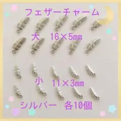フェザーチャーム シルバー